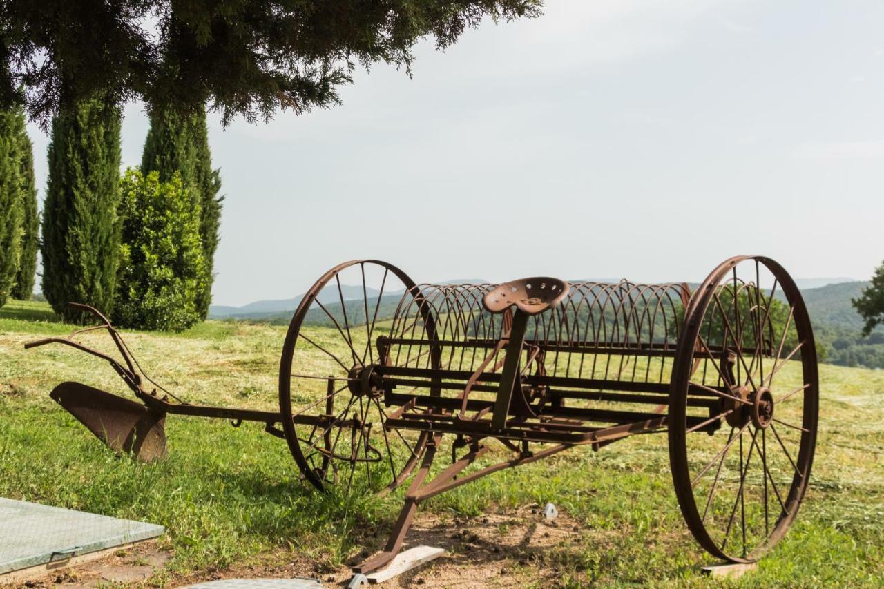 Agriturismo Il Felciaione Villa Massa Marittima Luaran gambar